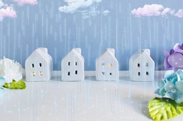23965091_s