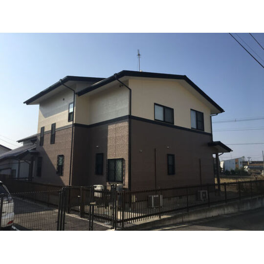 image (3)